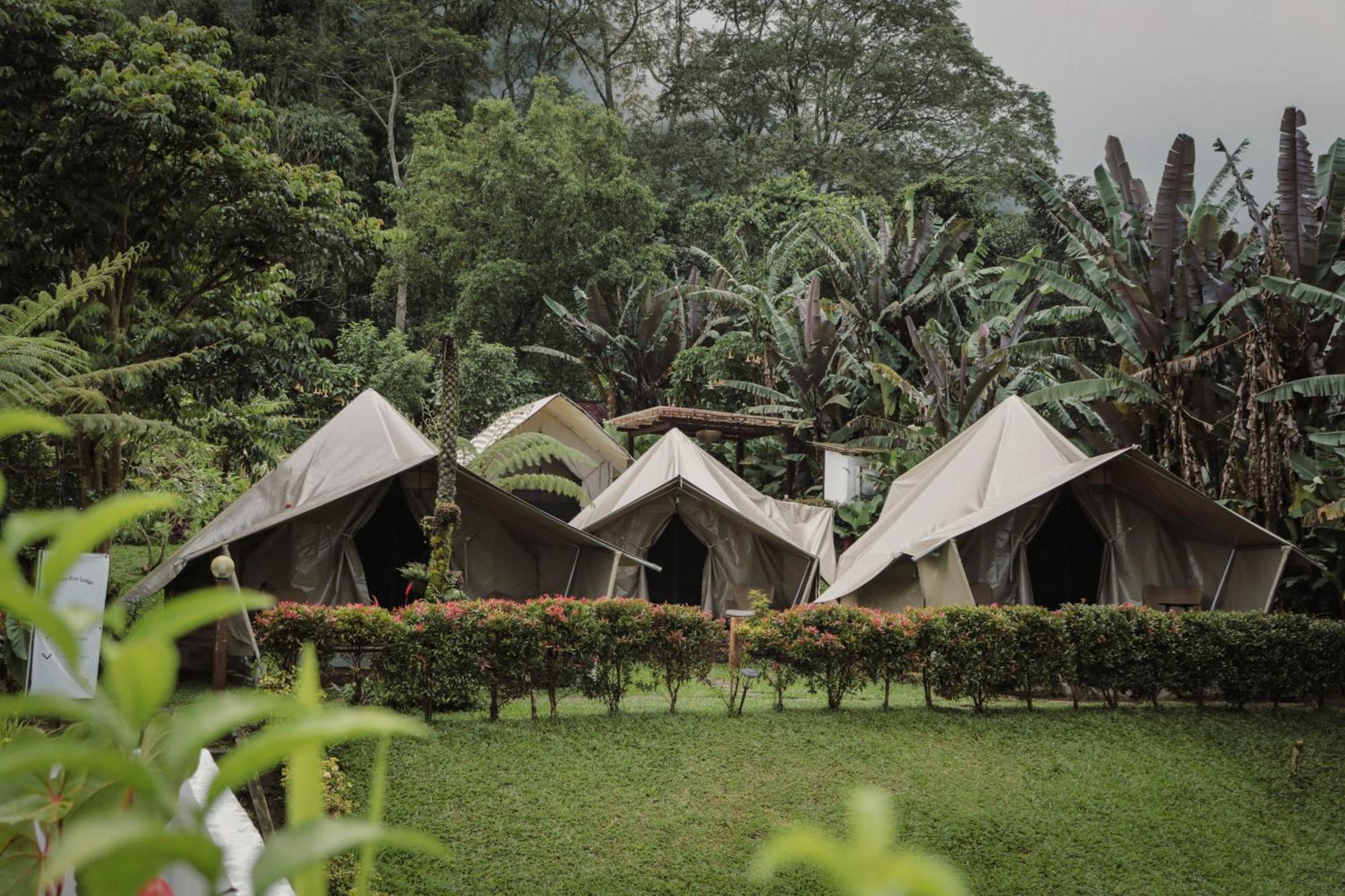 Alamu Eco Lodge Bedugul  Esterno foto