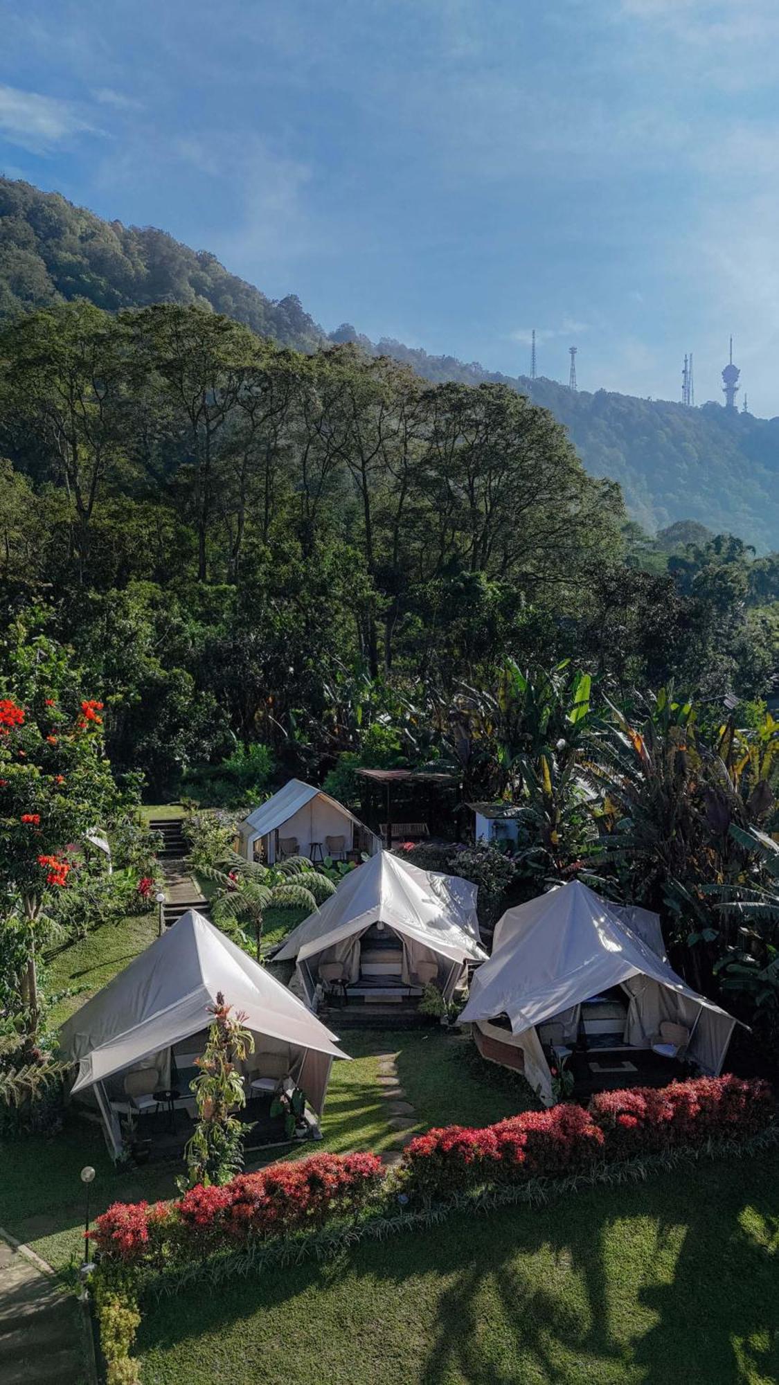 Alamu Eco Lodge Bedugul  Esterno foto