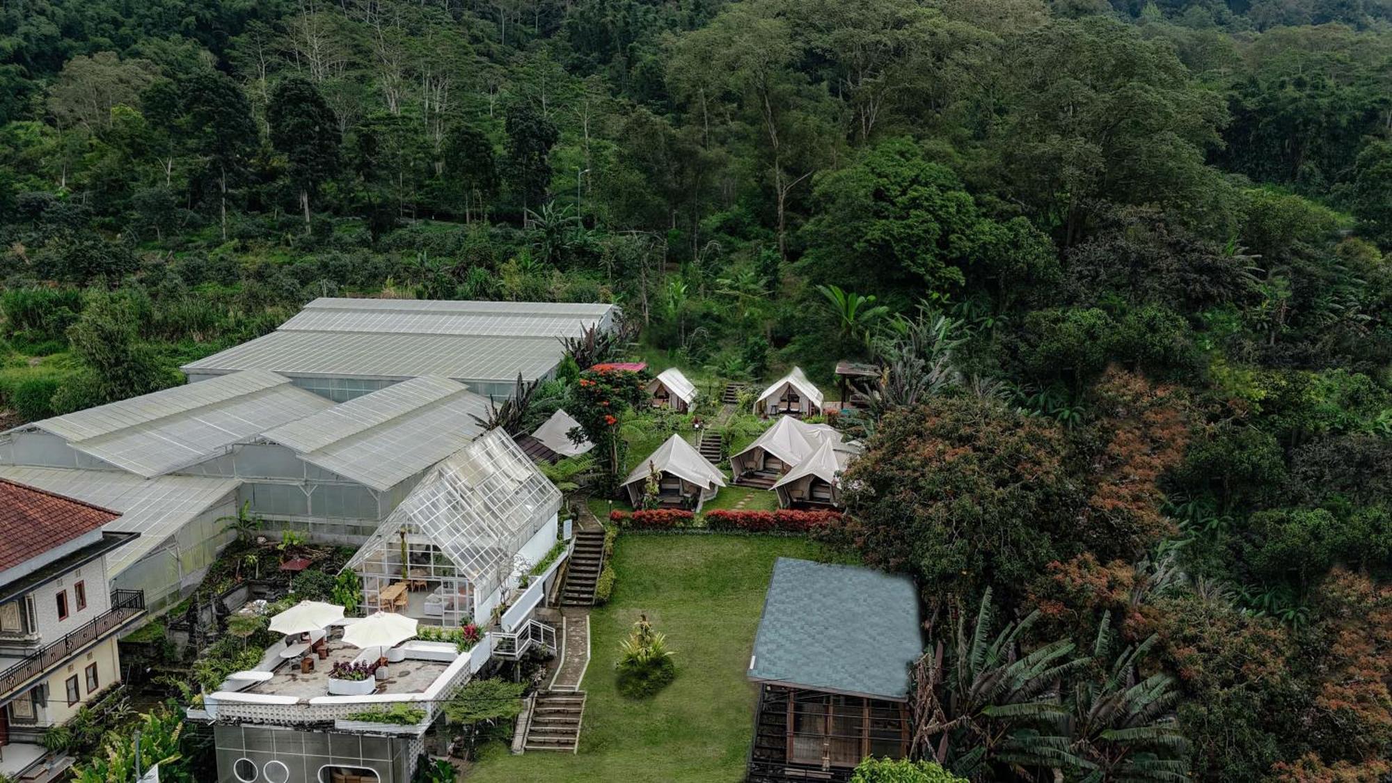 Alamu Eco Lodge Bedugul  Esterno foto