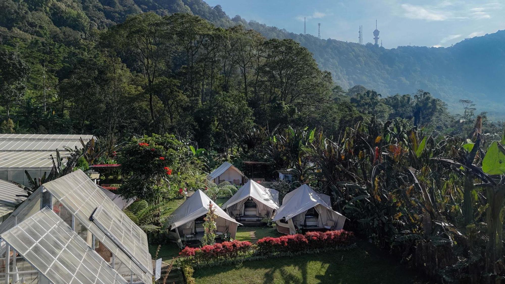 Alamu Eco Lodge Bedugul  Esterno foto