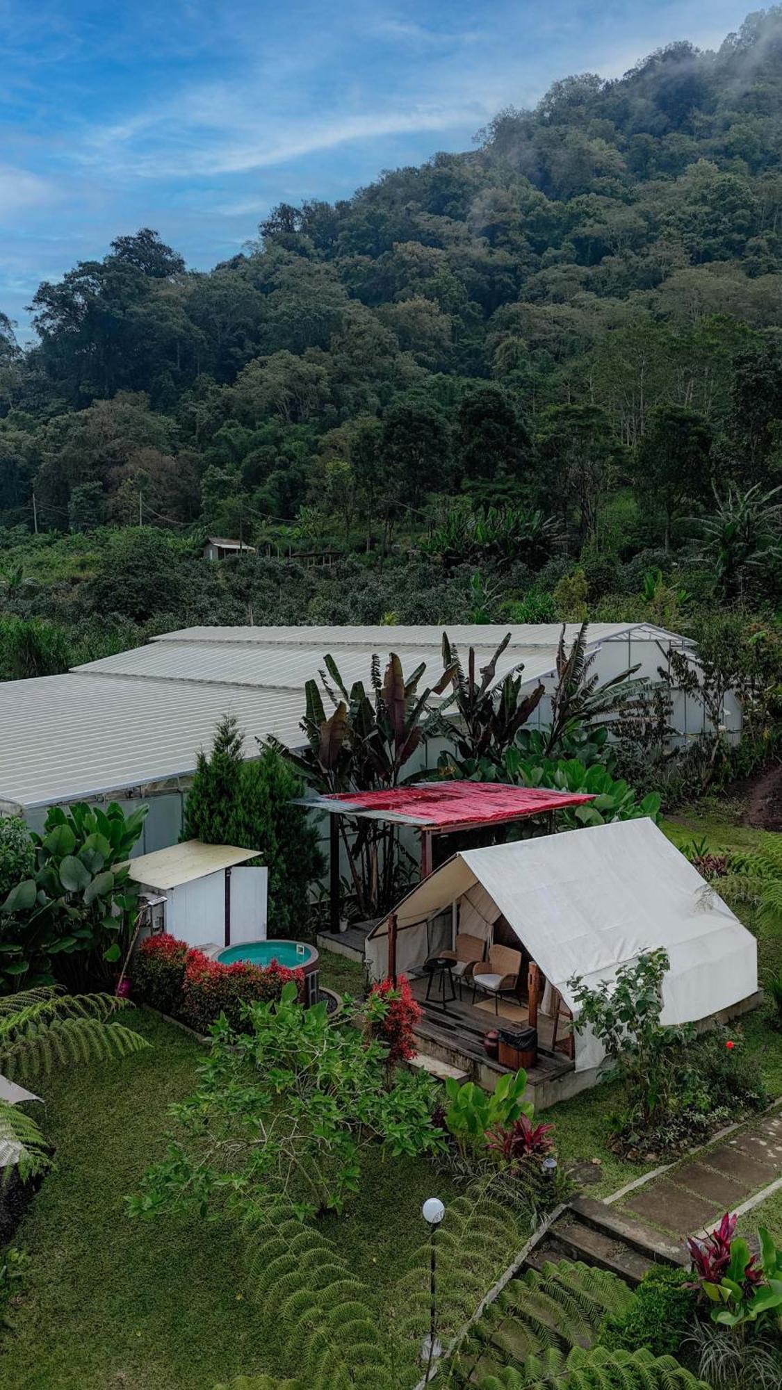 Alamu Eco Lodge Bedugul  Esterno foto