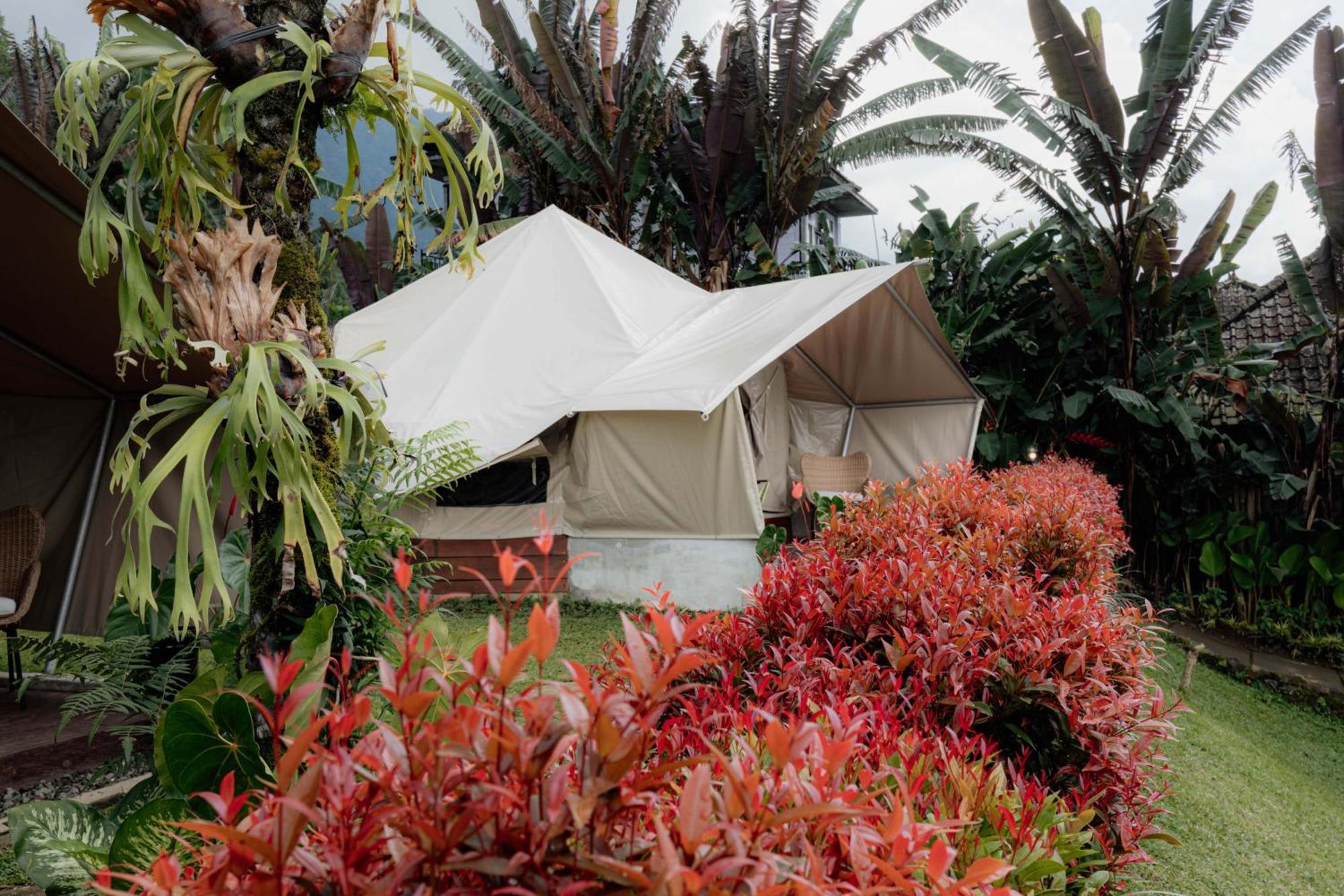 Alamu Eco Lodge Bedugul  Esterno foto